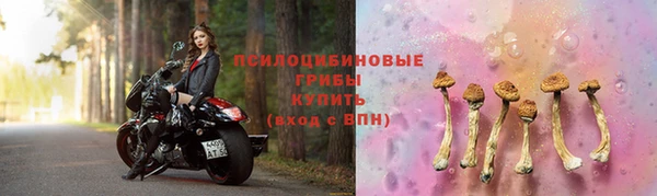 молекула духа Рославль