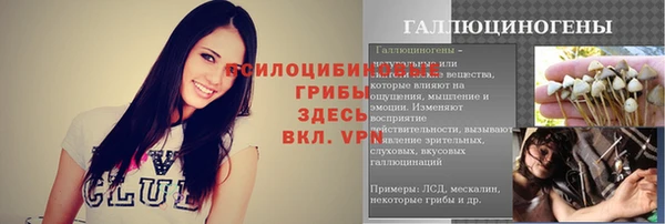 молекула духа Рославль